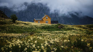 Casa galbenă la poalele muntelui - Cottagecore Desktop
