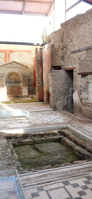 Casa Ursului Rănit în Pompeii — Motorola Edge 70 Max Fundal