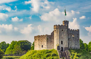 Castelul Cardiff Înconjurat de Copaci — Desktop Aesthetic Fundal