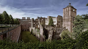 Castelul Heidelberg sub nori cenușii — Estetică verde GIF Fundal