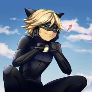 Imagini cu Cat Noir
