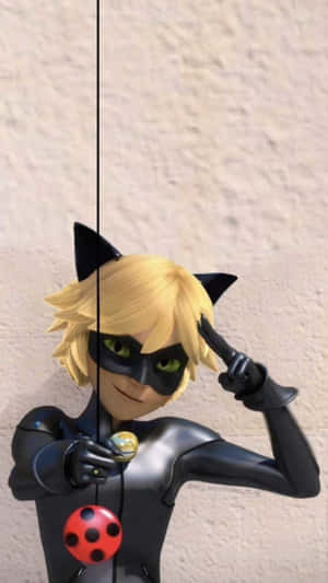 Imagini cu Cat Noir