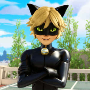 Imagini cu Cat Noir