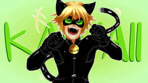 Imagini cu Cat Noir