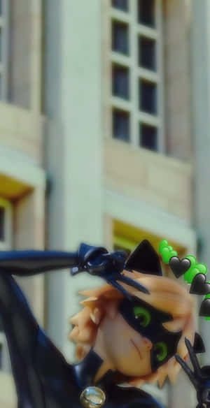 imagini cu Cat Noir