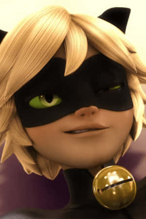 Imagini cu Cat Noir