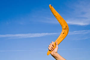 Catch the Fun: Kids Enjoying a Boomerang Game in the Park — 3:2 Fundal