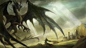 Cavaler vs Dragon Japonez Negru PC