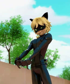 imagini cu Cat Noir