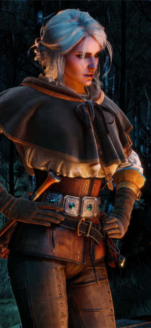 Cel Mai Bun Fundal The Witcher 3 — Zenfone Fundal