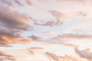 Fundal estetic pastel — Pastel estetic GIF Fundal