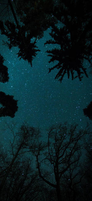 Wallpaper cer noptat stele Oneplus — iPhone 18 Fundal