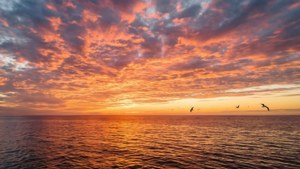 Un apus spectaculos peste ocean, cu culori vibrante și reflexii.