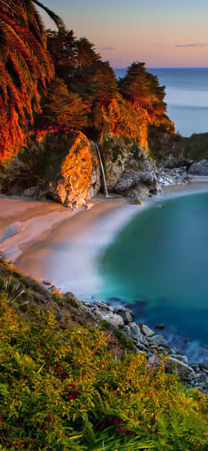 iPhone X California Fundal — Galaxy M56 Fundal