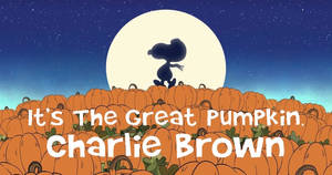 Tapet Charlie Brown Halloween Dovleci