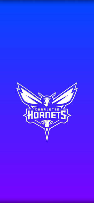 Charlotte Hornets Gradient Blue wallpaper — iPhone 17 Fundal