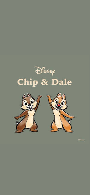 Fond de ecran Chip N Dale pe fundal gri — Huawei Pura 80 Pro Fundal
