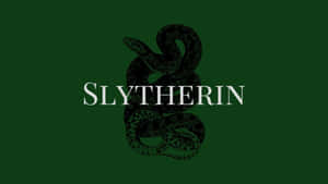 Imagini estetice Slytherin