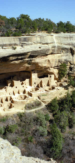 Cliff Palace Tan Color Mesa Verde National Park — Vivo V70 Elite Fundal