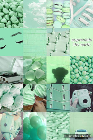 Colaj Estetic Verde Deschis — Estetică verde GIF Fundal