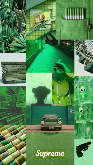Colaj foto estetic verde deschis — Estetică verde deschis Fundal