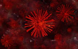 Fond de ecran Coronavirus model fireworks shred — Contrast scăzut Fundal