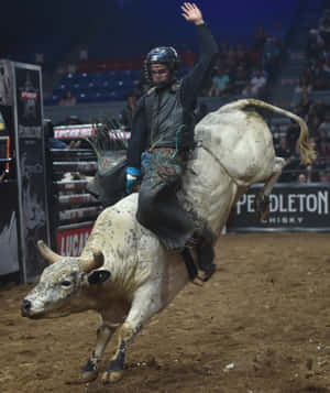 Bull Riding pictures — Galaxy Z Fold Fundal