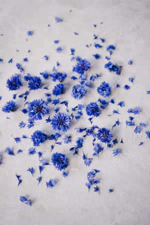 Crushed Petals Of Blue Flowers Phone — Huawei MatePad 11.5 (2026) Fundal