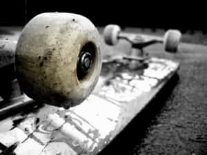 Imagini cu estetica skater boy