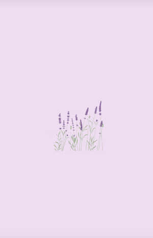 Lilac Color — Infinix Xpad 20 Fundal