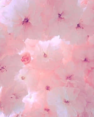 Imagini estetice pastel roz