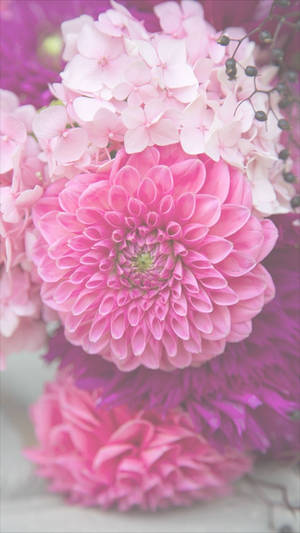 Dahlia Roz Floral Iphone — Floral iPhone Fundal