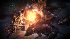 Dark Souls III Șobolani Uriași — Dark Souls 3 Fundal