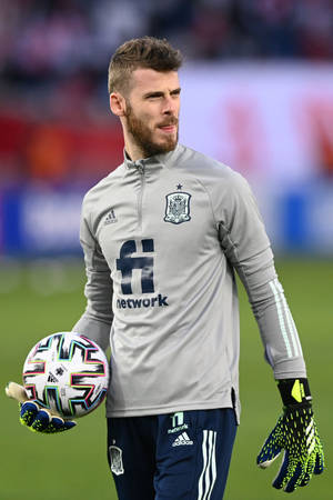 David De Gea Echipament Spaniol Gri — Huawei MatePad Air (2025) Fundal