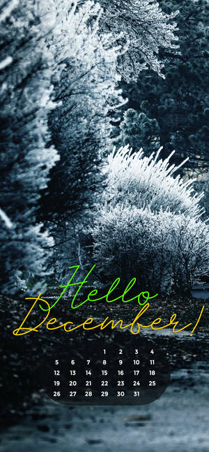 Decembrie 2021 Crăciun Alb wallpaper — iPhone 17 Fundal