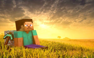 Minecraft Steve In Grass Field HD wallpaper
