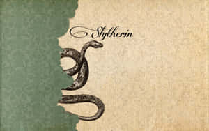 Imagini estetica Slytherin