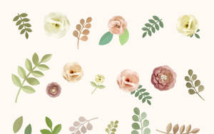 Design Floral Minimalist în Nuanțe Pastelate — Cream Aesthetic Fundal