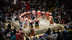 Fond de ecran arenă de sumo japoneză — Pro Display XDR Fundal