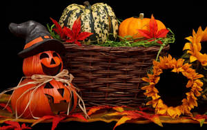 Dovleci Drăguți de Halloween cu Flori — Drăguț estetic Halloween Fundal
