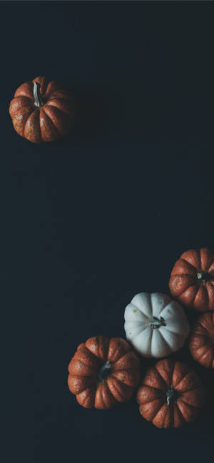 Thanksgiving iPhone Dovleci pe Fundal Negru — iPhone 16e Fundal