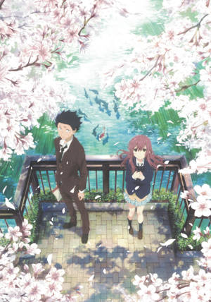 Wallpaper cu cuplul, sakura și iazul din A Silent Voice — OnePlus Pad 3 Pro Fundal