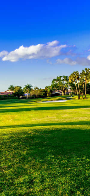Fundal Teren Golf iPhone X — POCO M8 Fundal