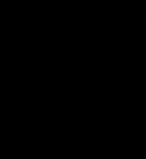Ecran Negru Temporar