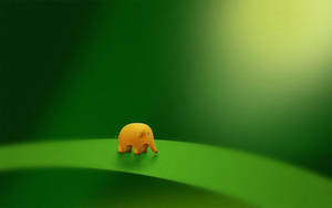 Elefant mic drăgut pentru desktop — Drăguț pentru desktop Fundal