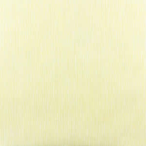 Fundal de culoare crem — Cream Aesthetic Fundal