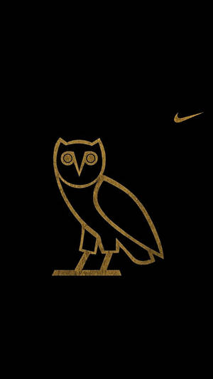Emblema Nike cu o bufniță cool