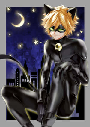 Imagini cu Cat Noir