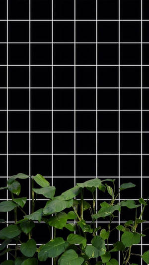 Estetică Grid Alb-Negru cu Plante
