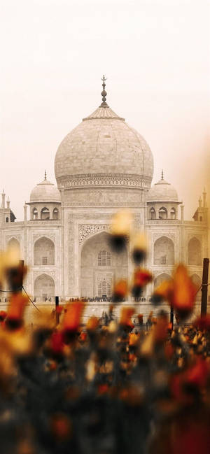 Estetică Indiană Taj Mahal Flori — iPhone 12 mini Fundal